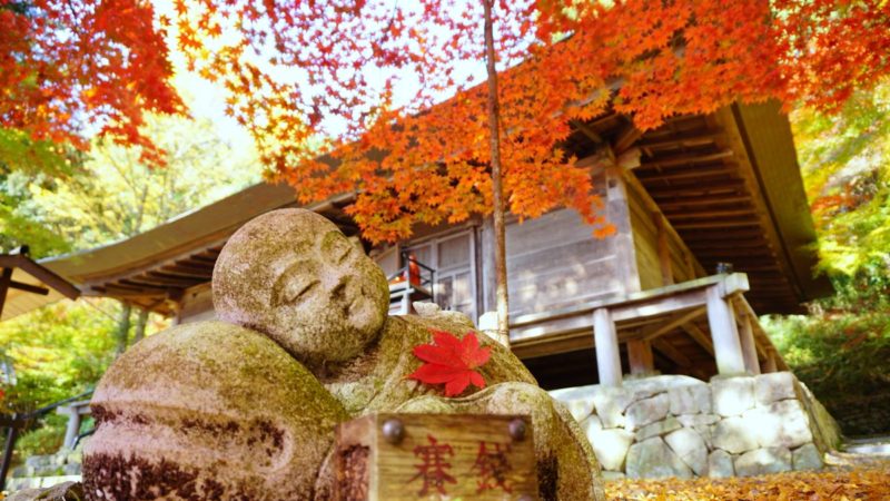 たな缶ツアー 丹波篠山もみじ三山めぐり旅 田辺観光バス Traffic Confort